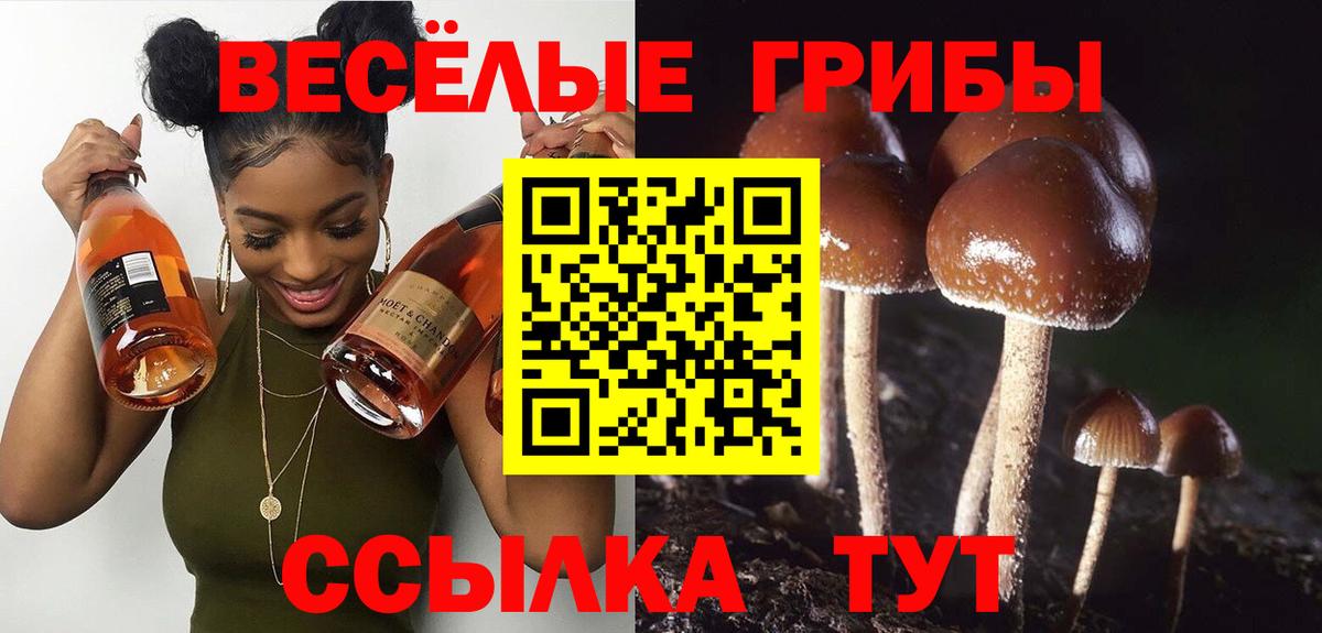 Назарово  Галлюциногенные грибы мицелий  Вход с VPN 